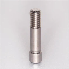 Kho Abutment Screw