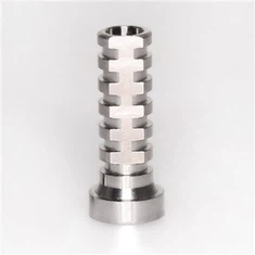 Ib ntus Abutment Implant