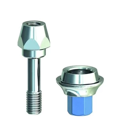 Impant Prosthetics Solutions Safe Rau Plaub